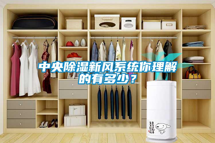 中央除濕新風系統你理解的有多少？