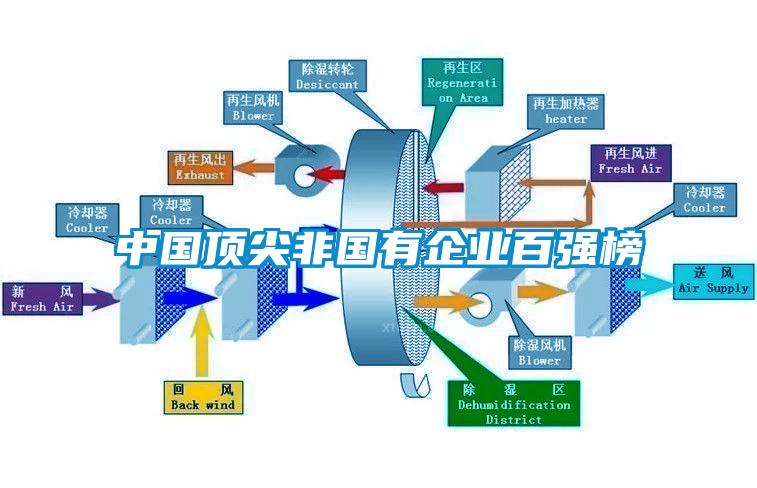 中國(guó)頂尖非國(guó)有企業(yè)百?gòu)?qiáng)榜