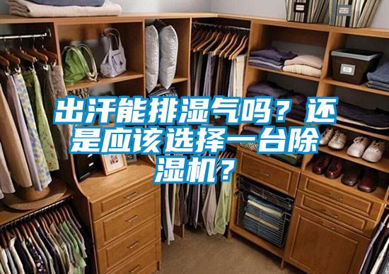 出汗能排濕氣嗎？還是應該選擇一臺除濕機？