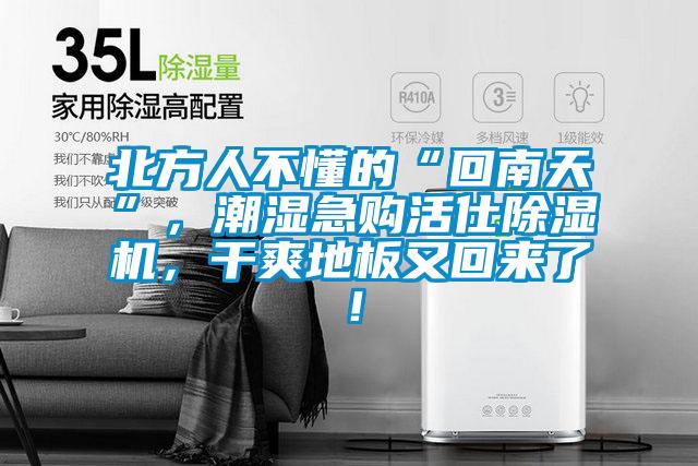 北方人不懂的“回南天”，潮濕急購活仕除濕機，干爽地板又回來了！