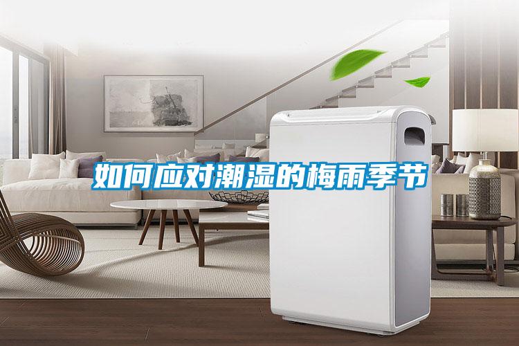 如何應對潮濕的梅雨季節(jié)