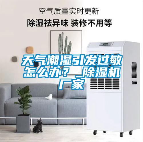 天氣潮濕引發過敏怎么辦？_除濕機廠家
