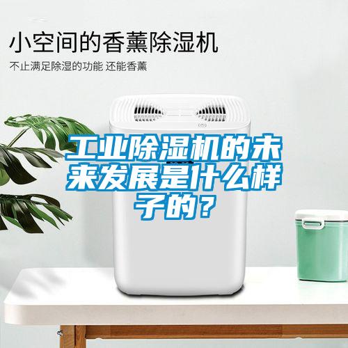 工業(yè)除濕機(jī)的未來發(fā)展是什么樣子的？