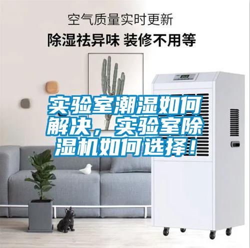 實驗室潮濕如何解決，實驗室除濕機如何選擇！