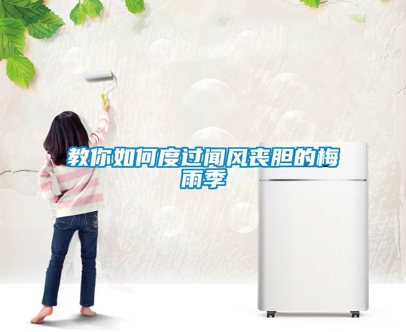 教你如何度過聞風(fēng)喪膽的梅雨季