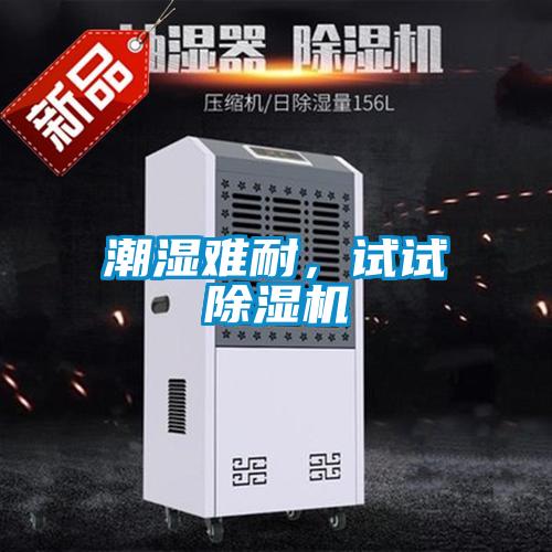 潮濕難耐，試試除濕機
