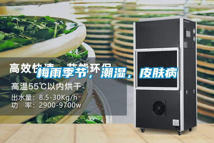 梅雨季節，潮濕，皮膚病