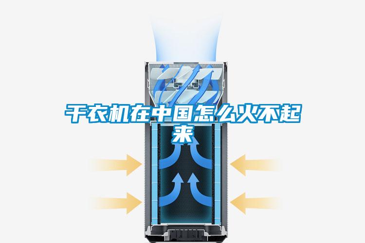 干衣機(jī)在中國怎么火不起來