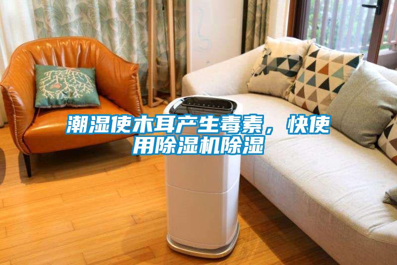 潮濕使木耳產生毒素，快使用除濕機除濕