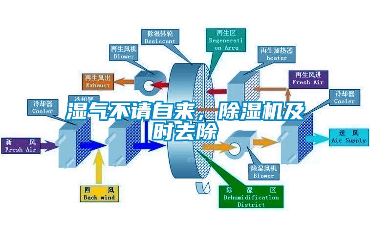 濕氣不請自來，除濕機及時去除