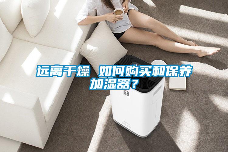 遠離干燥 如何購買和保養加濕器？