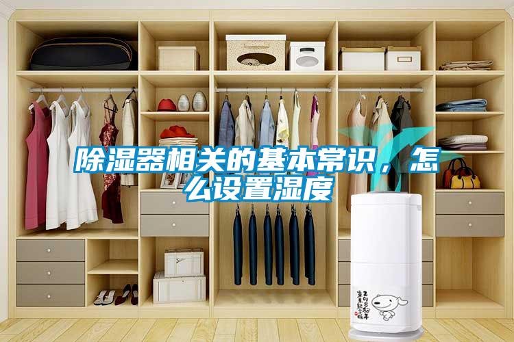 除濕器相關(guān)的基本常識(shí)，怎么設(shè)置濕度