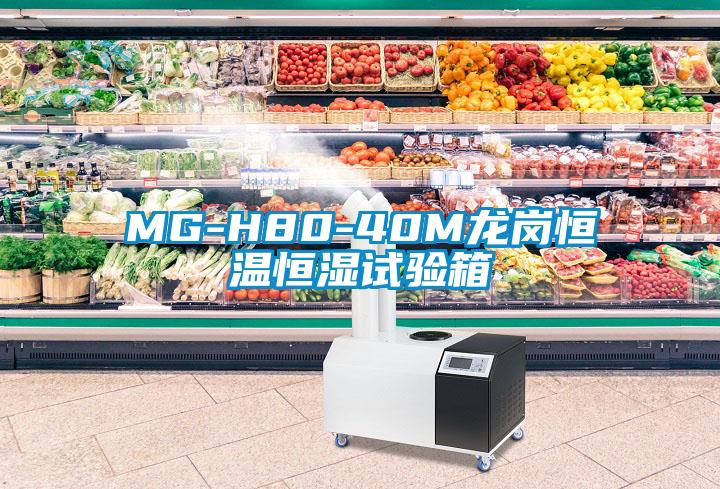 MG-H80-40M龍崗恒溫恒濕試驗(yàn)箱