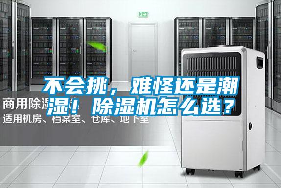 不會挑，難怪還是潮濕！除濕機怎么選？