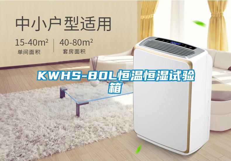 KWHS-80L恒溫恒濕試驗(yàn)箱
