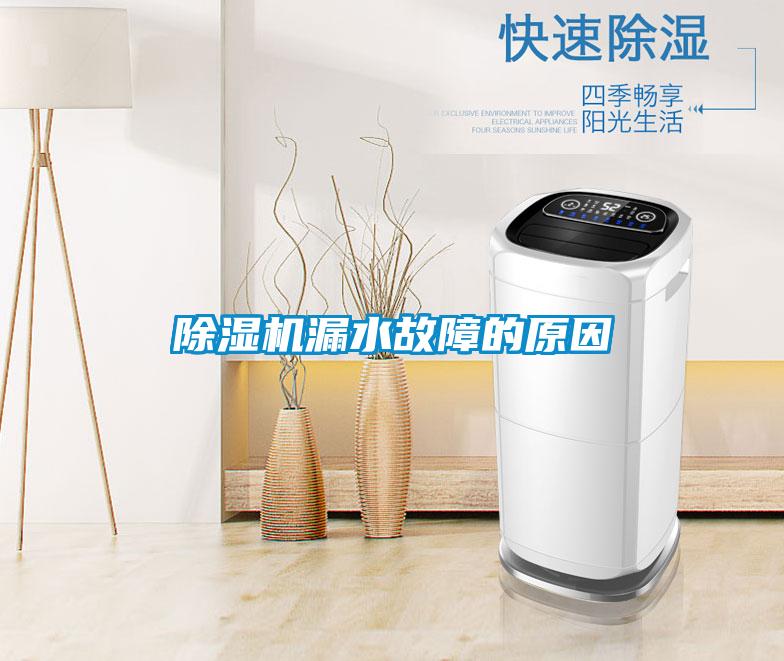 除濕機(jī)漏水故障的原因