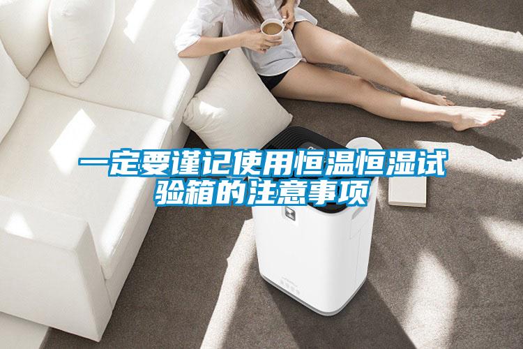 一定要謹(jǐn)記使用恒溫恒濕試驗箱的注意事項