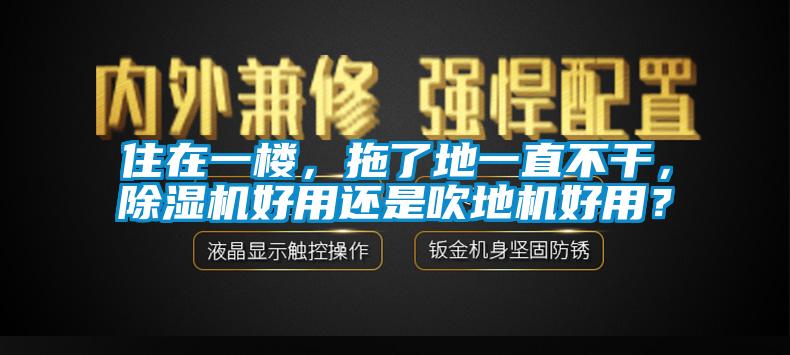 住在一樓，拖了地一直不干，除濕機(jī)好用還是吹地機(jī)好用？