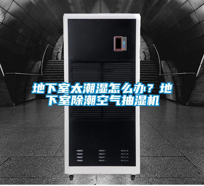 地下室太潮濕怎么辦？地下室除潮空氣抽濕機