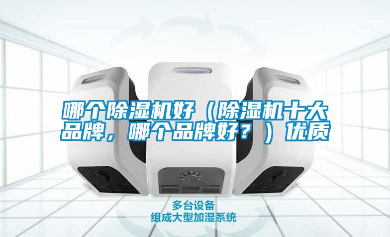 哪個除濕機好（除濕機十大品牌，哪個品牌好？）優質