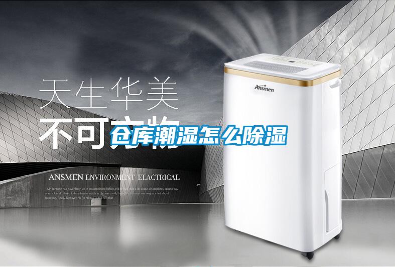 倉(cāng)庫(kù)潮濕怎么除濕