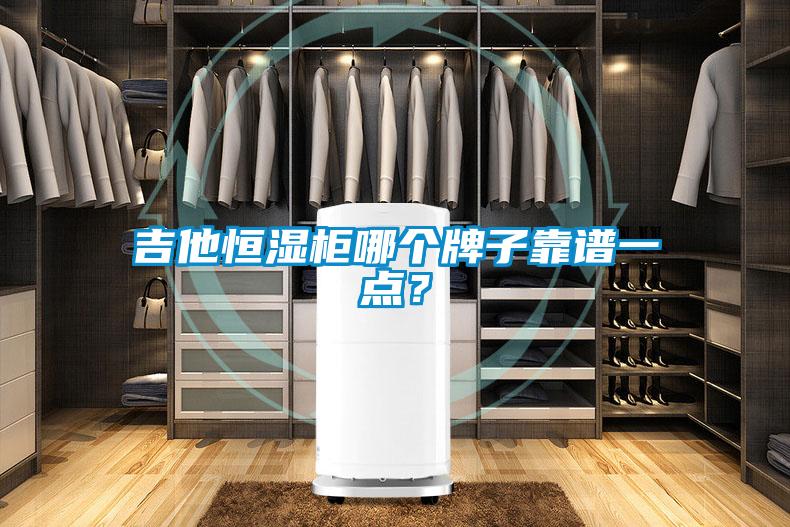 吉他恒濕柜哪個牌子靠譜一點？