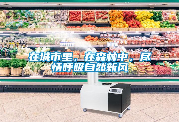 在城市里，在森林中，盡情呼吸自然新風(fēng)