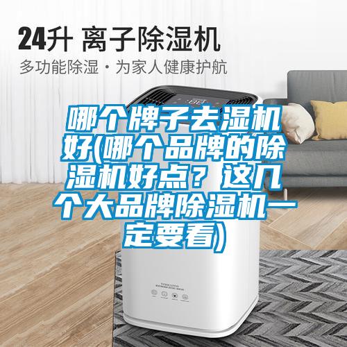 哪個(gè)牌子去濕機(jī)好(哪個(gè)品牌的除濕機(jī)好點(diǎn)？這幾個(gè)大品牌除濕機(jī)一定要看)