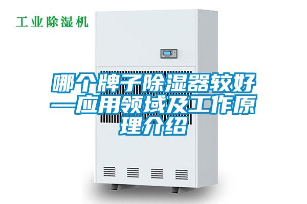 哪個牌子除濕器較好—應(yīng)用領(lǐng)域及工作原理介紹