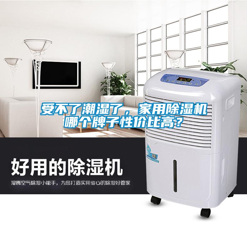 受不了潮濕了，家用除濕機哪個牌子性價比高？