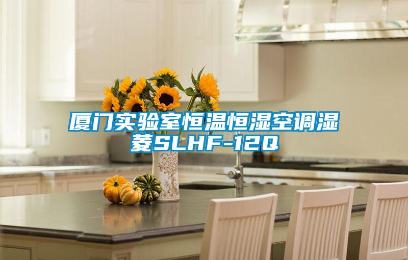 廈門(mén)實(shí)驗(yàn)室恒溫恒濕空調(diào)濕菱SLHF-12Q