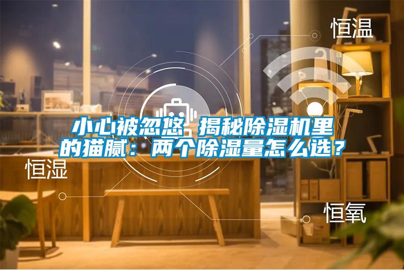 小心被忽悠 揭秘除濕機里的貓膩：兩個除濕量怎么選？