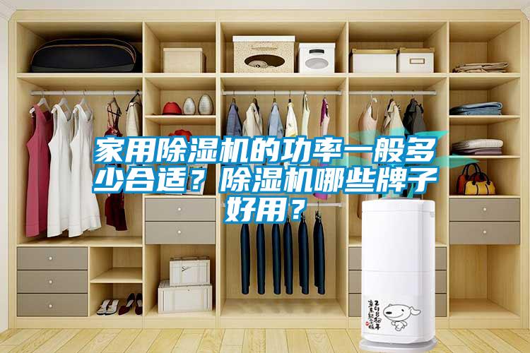 家用除濕機(jī)的功率一般多少合適？除濕機(jī)哪些牌子好用？
