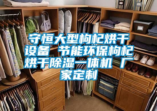 守恒大型枸杞烘干設(shè)備 節(jié)能環(huán)保枸杞烘干除濕一體機(jī) 廠家定制
