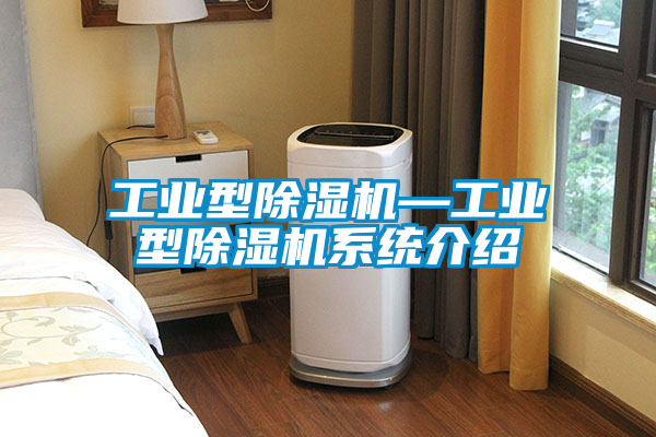 工業(yè)型除濕機—工業(yè)型除濕機系統(tǒng)介紹