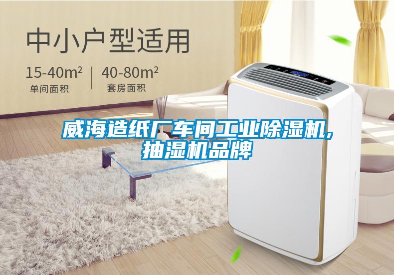 威海造紙廠車間工業(yè)除濕機(jī),抽濕機(jī)品牌