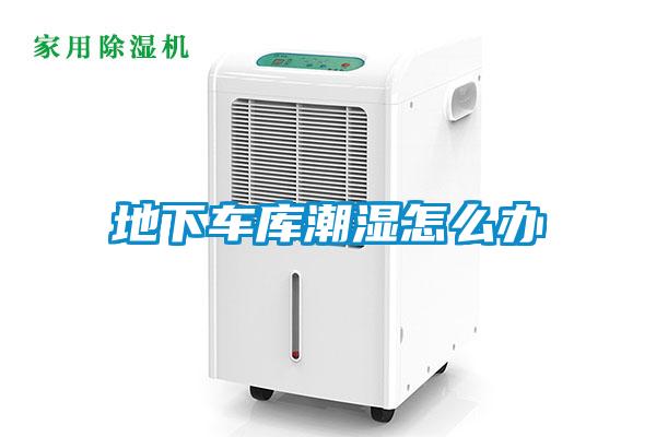 地下車庫(kù)潮濕怎么辦