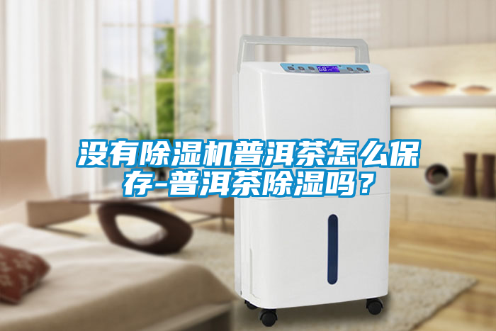 沒有除濕機(jī)普洱茶怎么保存-普洱茶除濕嗎？