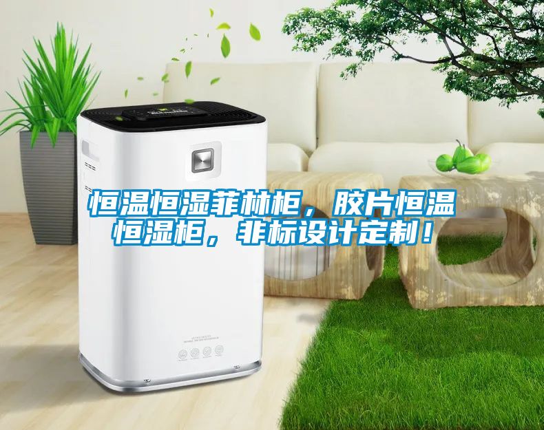 恒溫恒濕菲林柜，膠片恒溫恒濕柜，非標(biāo)設(shè)計(jì)定制！