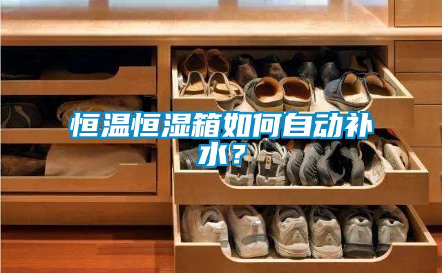 恒溫恒濕箱如何自動補水？
