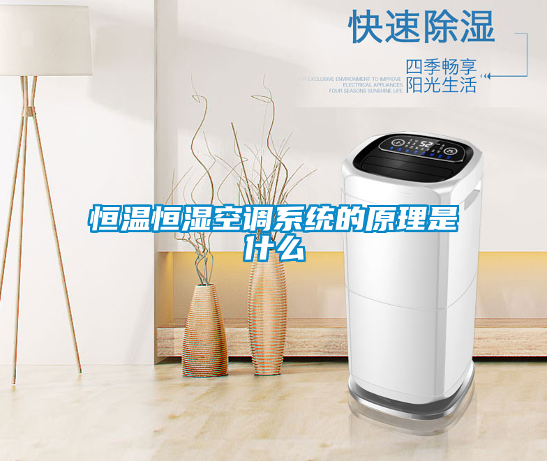 恒溫恒濕空調系統(tǒng)的原理是什么