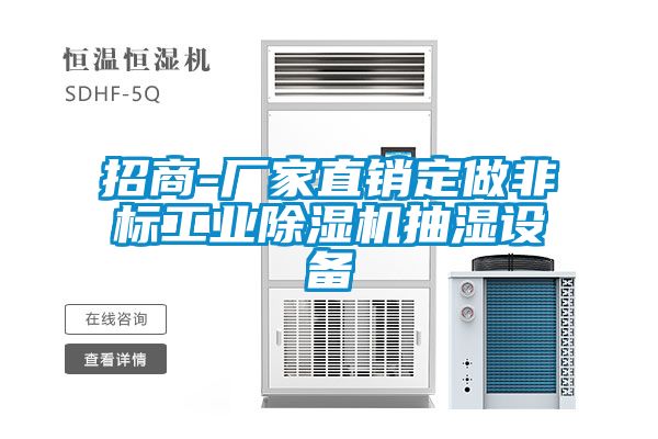 招商-廠家直銷定做非標工業(yè)除濕機抽濕設(shè)備