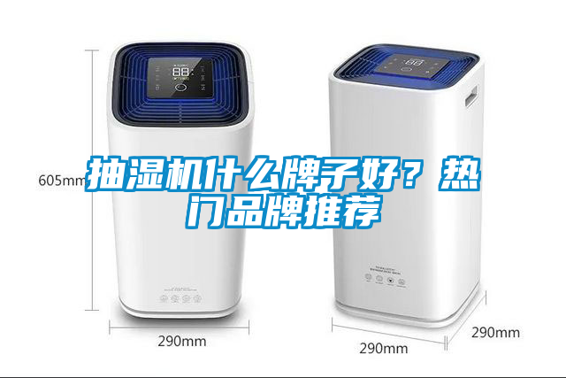 抽濕機(jī)什么牌子好？熱門品牌推薦
