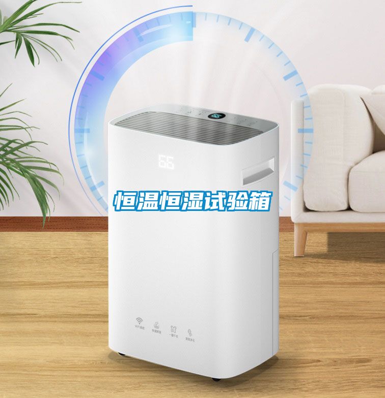 恒溫恒濕試驗(yàn)箱