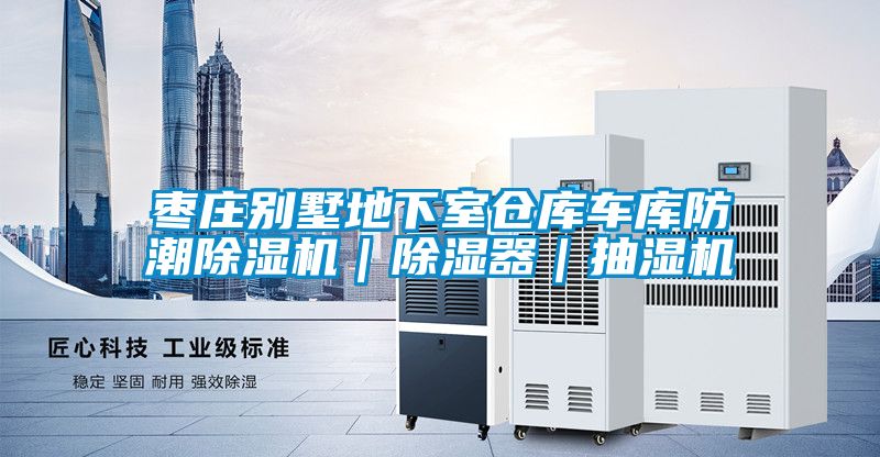棗莊別墅地下室倉(cāng)庫(kù)車庫(kù)防潮除濕機(jī)｜除濕器｜抽濕機(jī)
