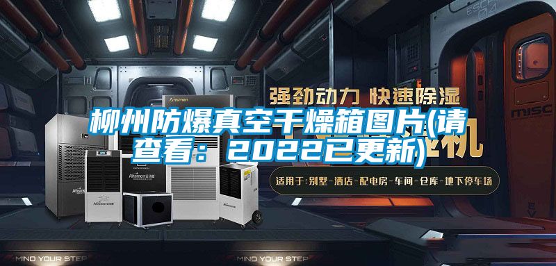 柳州防爆真空干燥箱圖片(請(qǐng)查看：2022已更新)