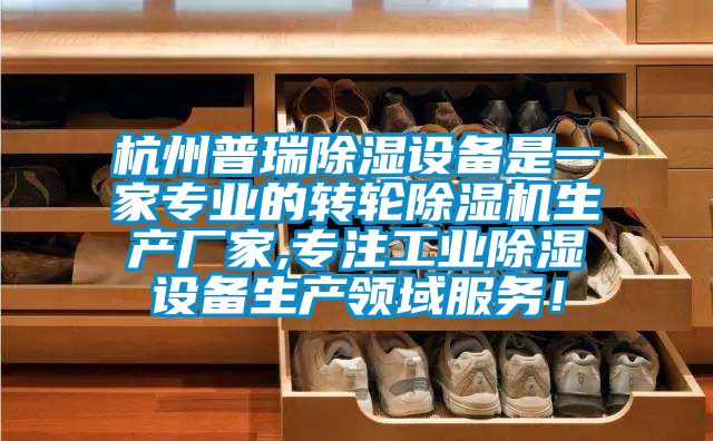 杭州普瑞除濕設備是一家專業的轉輪除濕機生產廠家,專注工業除濕設備生產領域服務！