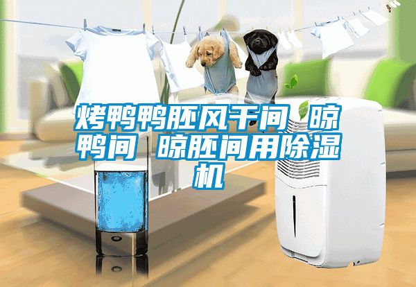 烤鴨鴨胚風(fēng)干間 晾鴨間 晾胚間用除濕機(jī)