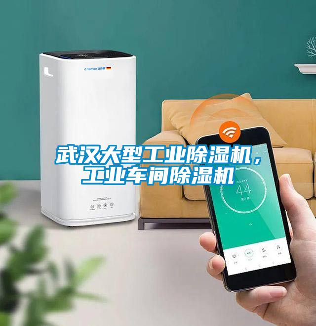 武漢大型工業除濕機，工業車間除濕機