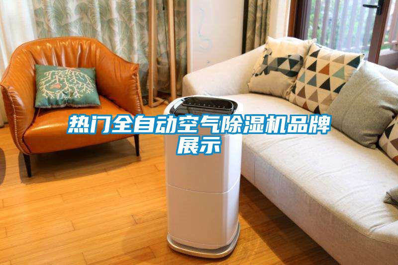 熱門全自動空氣除濕機(jī)品牌展示